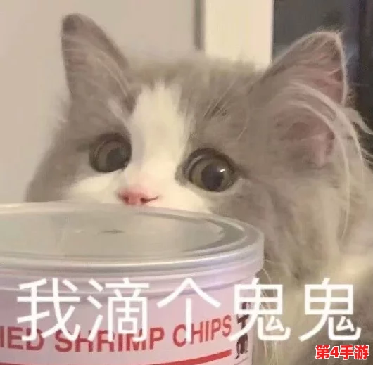 元梦之星个性化指南:轻松掌握更换脸部表情与全新表情包的技巧 元梦之星个性化指南:轻松掌握更换脸部表情与全新表情包的技巧
