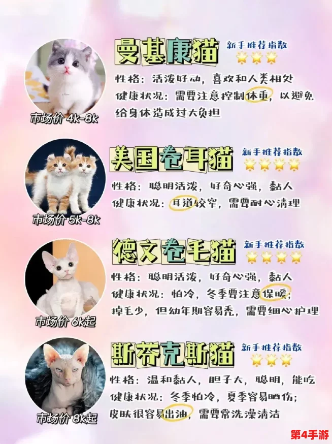 猫咪成人地域网名怎么取？2021年最新热门词汇分享