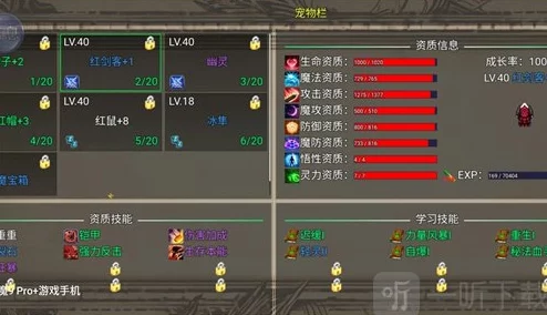 探索冒险征途：宠物洗练策略大揭秘，适者生存法则下的极致优化指南