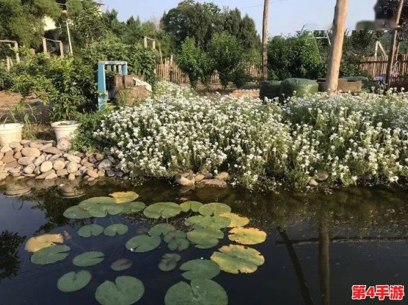 探寻塔塔花园官方下载渠道：安全链接一键分享，尽享绿色园艺乐趣