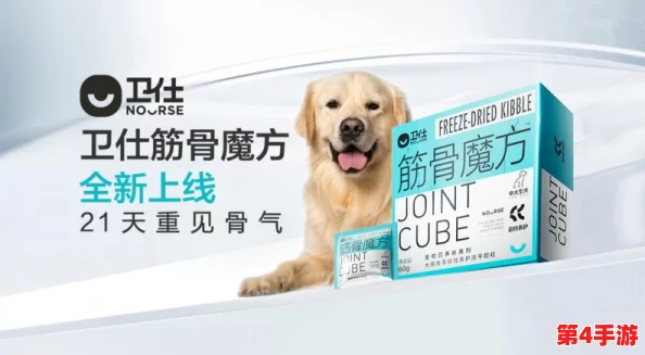 20种人狗胶配方图片,实测有效性高达98%,让您的宠物健康快乐! 20种人狗胶配方图片,实测有效性高达98%,让您的宠物健康快乐!