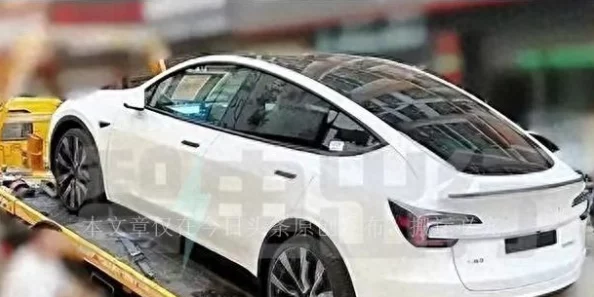 2024年度休闲游戏盛宴:热门榜单揭秘,探索不可错过的轻松娱乐新宠儿 2024年度休闲游戏盛宴:热门榜单揭秘,探索不可错过的轻松娱乐新宠儿