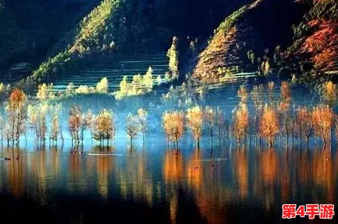 水边之夜未增减板：在宁静的湖畔感受自然与心灵的交融与启迪