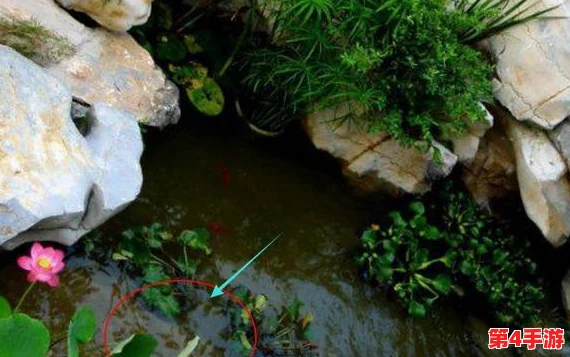 老公说我的小花园是甜的，朋友们都说她的绿植养得真好，让人心情愉悦！