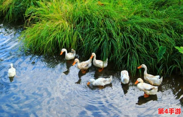 今天晚上你弄了几个小雨伞，是否能让我们在细雨中感受到温暖与浪漫？
