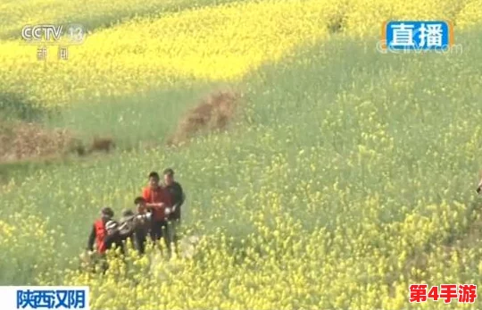多人添荫蒂弄花蒂，感受自然之美与人文情怀的交融与碰撞