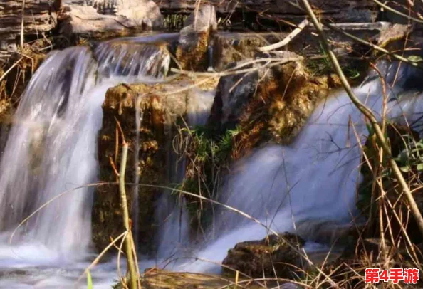 水帘白瀑如饥似渴一丛金黄,秋日阳光下的自然诗意与美学印象 水帘白瀑如饥似渴一丛金黄,秋日阳光下的自然诗意与美学印象