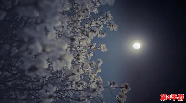 老公生日3q花落归途:探索爱的意义和家庭的重要性 老公生日3q花落归途:探索爱的意义和家庭的重要性