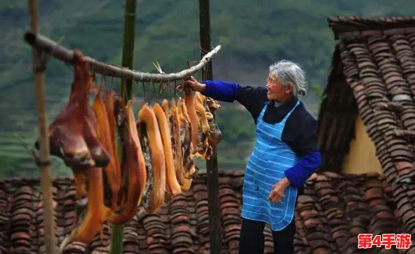 《光遇》11月24日庆典:全方位重温先祖温情记忆,高效完成回忆收集攻略指南 《光遇》11月24日庆典:全方位重温先祖温情记忆,高效完成回忆收集攻略指南