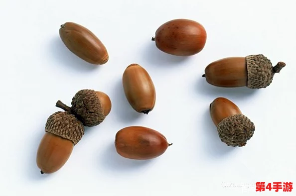 探索橡子屋:揭秘高效采集与培育多彩橡子的独特方法 探索橡子屋:揭秘高效采集与培育多彩橡子的独特方法