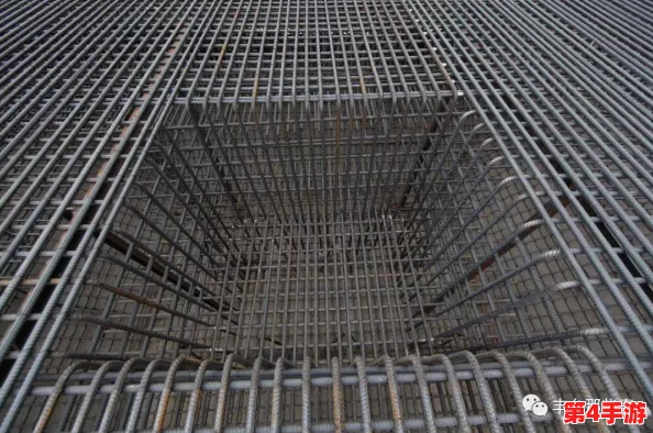 钢钢钢钢钢 钠筋多水免费 见解