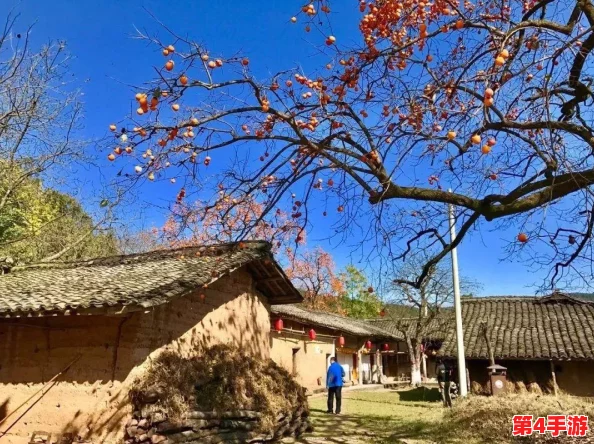 全面掌握菇霸模式:解锁独特玩法策略,成就游戏霸主之路的详尽指南 全面掌握菇霸模式:解锁独特玩法策略,成就游戏霸主之路的详尽指南