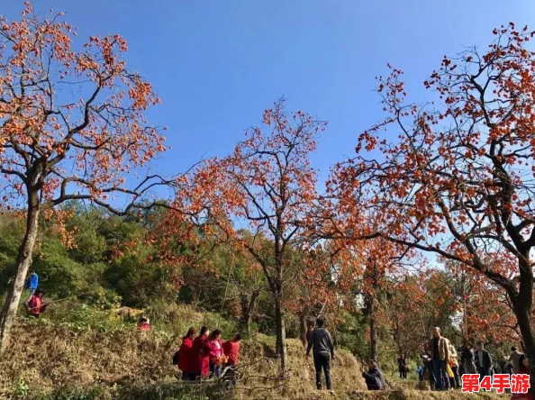 全面掌握菇霸模式:解锁独特玩法策略,成就游戏霸主之路的详尽指南 全面掌握菇霸模式:解锁独特玩法策略,成就游戏霸主之路的详尽指南