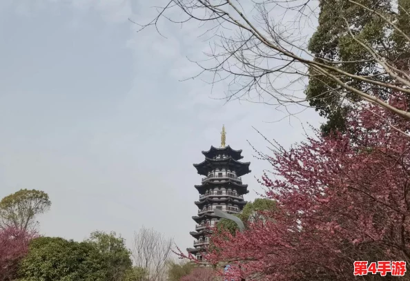 地铁逃生新纪元：揭秘霸王龙出没的神秘模式，挑战极限生存策略！