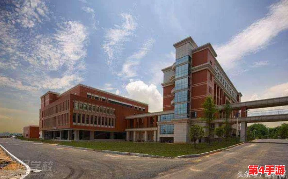 混乱小镇售票员用b验票引发争议，引发无奈和创新共存的趣谈