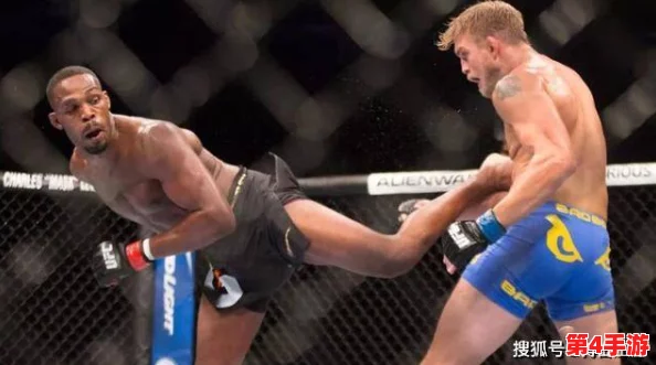 雷电将军腿法娴熟脚法技巧:全面解析与深度见解 雷电将军腿法娴熟脚法技巧:全面解析与深度见解