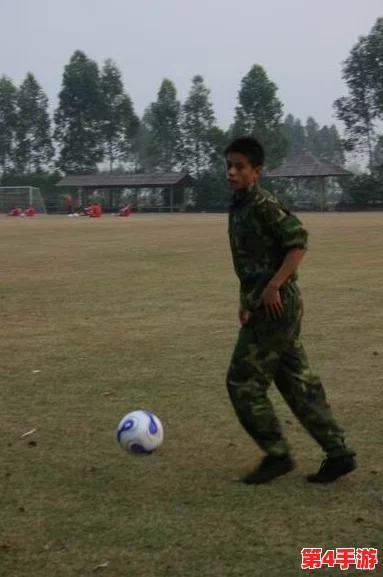 雷电将军腿法娴熟脚法技巧:全面解析与深度见解 雷电将军腿法娴熟脚法技巧:全面解析与深度见解