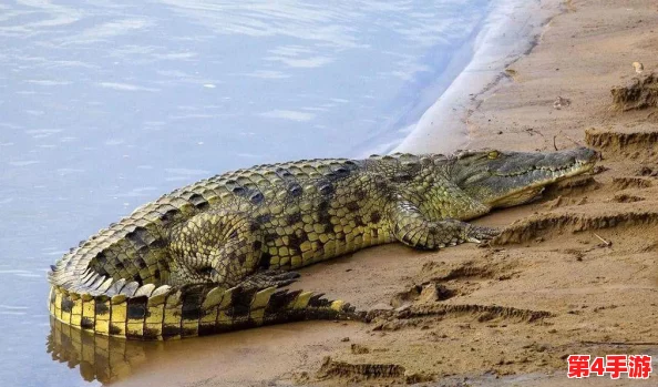 钶钶钶钶钶钶钶水好多好中国，网友纷纷表示：“这个标题真是太有趣了，让人忍不住想点进去看看！”