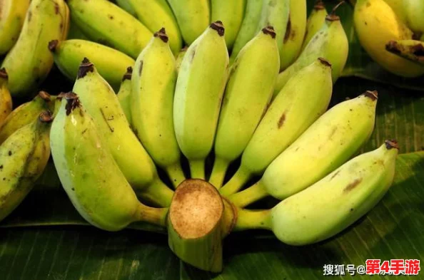 亚洲香蕉视频:深入了解这一独特文化现象及其在当代社会中的影响与意义 亚洲香蕉视频:深入了解这一独特文化现象及其在当代社会中的影响与意义