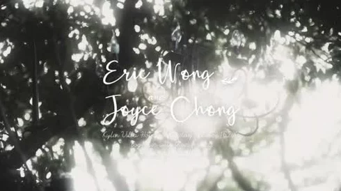 八尺夫人意大利 满天星：深入理解这幅作品背后的文化与情感表达