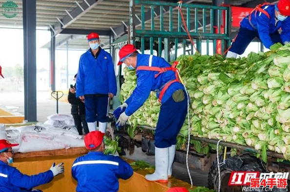 2024年必玩生存挑战精选：经典重生与新颖趣味并蓄的生存游戏大全集