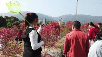 红桃国际:用户评价揭示了服务质量与游戏体验的真实感受,值得一试! 红桃国际:用户评价揭示了服务质量与游戏体验的真实感受,值得一试!