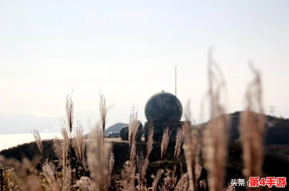 黑神话悟空:详尽解析雷火印获取途径,助你轻松获得强力印记 黑神话悟空:详尽解析雷火印获取途径,助你轻松获得强力印记