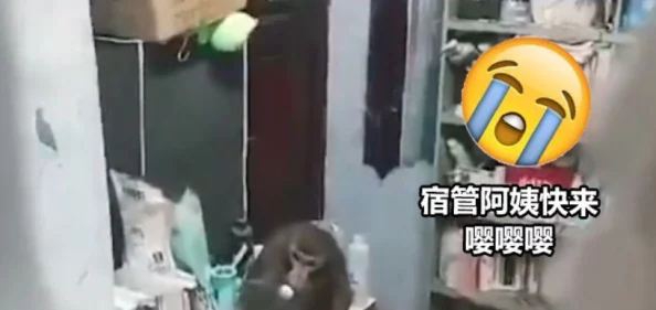 二个人在一起生猴子不盖被子,专家解析情侣间的亲密关系与生活习惯对情感的影响 二个人在一起生猴子不盖被子,专家解析情侣间的亲密关系与生活习惯对情感的影响