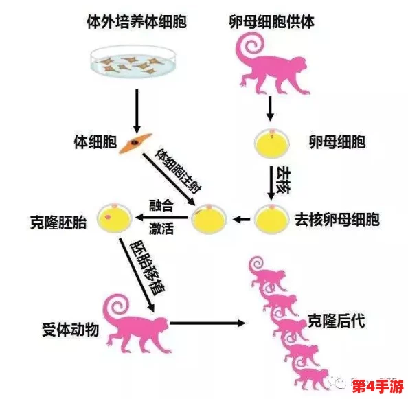 系统需要收集n多精,网友猜测是为了进行DNA克隆技术的实验 系统需要收集n多精,网友猜测是为了进行DNA克隆技术的实验