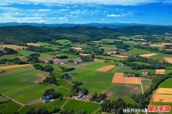 老孙头的春天林初晴：探讨乡村振兴背景下的传统文化传承与现代发展之间的平衡问题