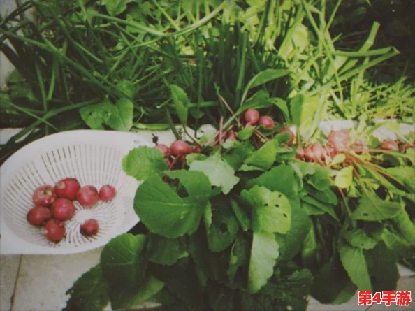 草莓+丝瓜+香蕉+向日葵+榴莲：网友热议这些食材的奇妙搭配，竟然能创造出意想不到的美味与健康效果！