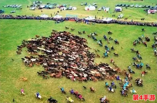 探索边境风情，游牧套装实用性与风格并存——您的旅行新选择值得考量吗？