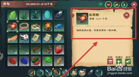 全面解锁创造与魔法世界：宠物捕捉秘籍&坐骑驯服技巧大公开