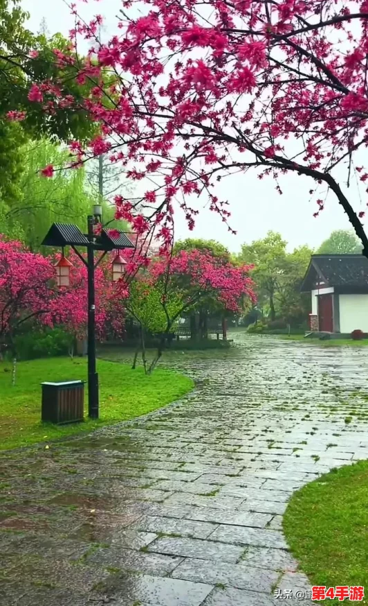 《仙境传说RO：守护永恒的爱》手游个性化升级指南——轻松掌握独特头像更换技巧