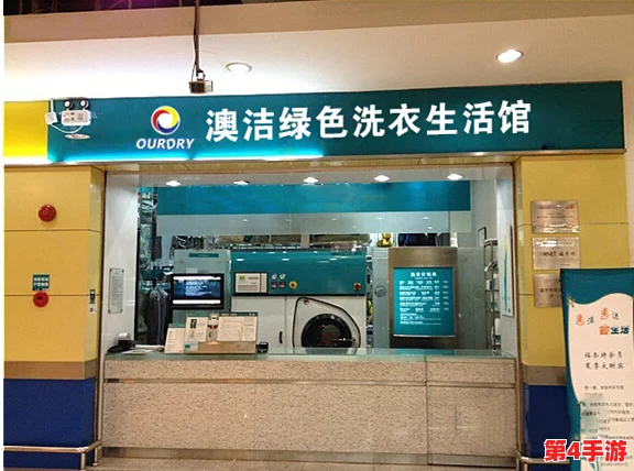 洗衣店小信：网友热议这家洗衣店的服务质量与价格，究竟是物有所值还是让人失望？
