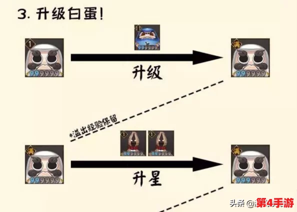 阴阳师萌新进阶之路：新服开荒必备策略与高效成长技巧全攻略