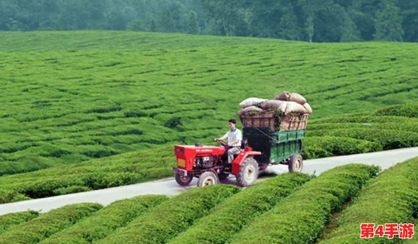 柴火垛里的疯狂55集蜂窝网：新技术助力农村信息化建设，提升农民生活质量与经济效益