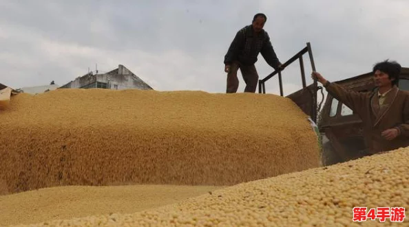 柴火垛里的疯狂55集蜂窝网：新技术助力农村信息化建设，提升农民生活质量与经济效益