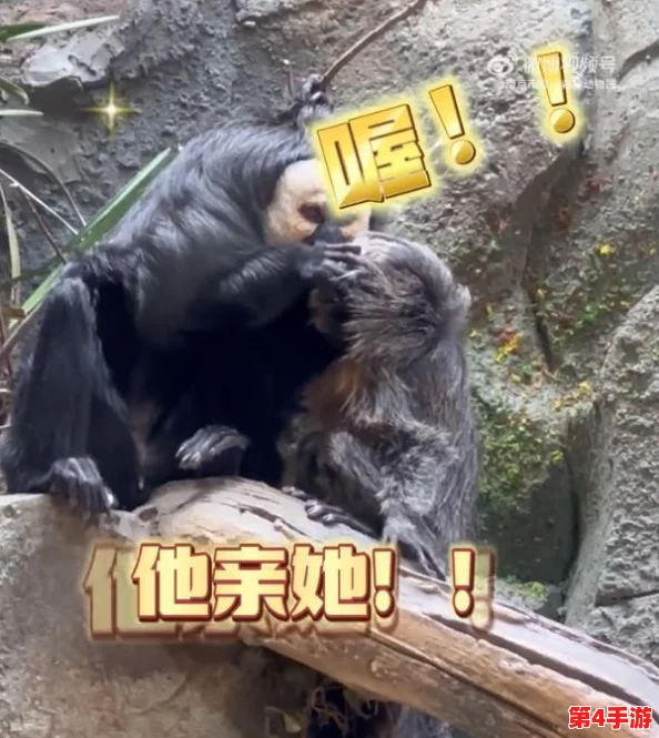 男生和女生在一起努力生猴子:探讨两性关系中的情感支持与共同成长的多样性与重要性 男生和女生在一起努力生猴子:探讨两性关系中的情感支持与共同成长的多样性与重要性