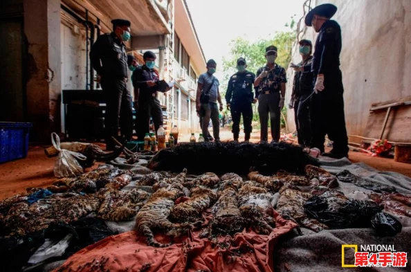 缅北禁区：解密让人触目惊心的武装冲突、地方治理失效及人道主义危机的背后真相