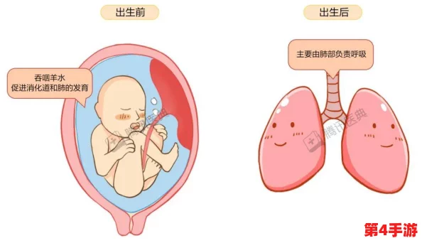 楚晚宁怀孕压前列腺，网友热议：这究竟是怎样的奇妙体验？是否会影响健康？