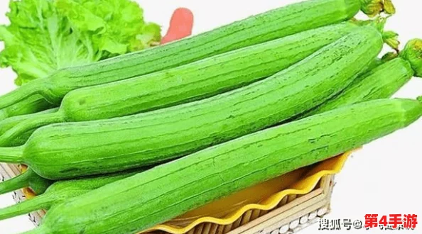 草莓丝瓜视频：一段展示草莓与丝瓜的创意料理过程，带你领略新鲜食材的美味搭配和独特做法