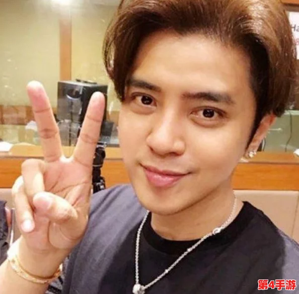 向日葵视频罗志祥总结一下：从综艺节目到音乐事业的多元发展与个人品牌塑造分析