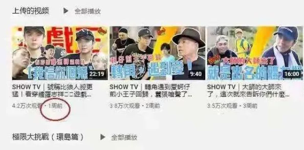 向日葵视频罗志祥总结一下：从综艺节目到音乐事业的多元发展与个人品牌塑造分析