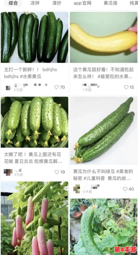 茄子视频黄色：最新动态与用户反馈，探讨其在内容审核和社区规范方面的进展与挑战